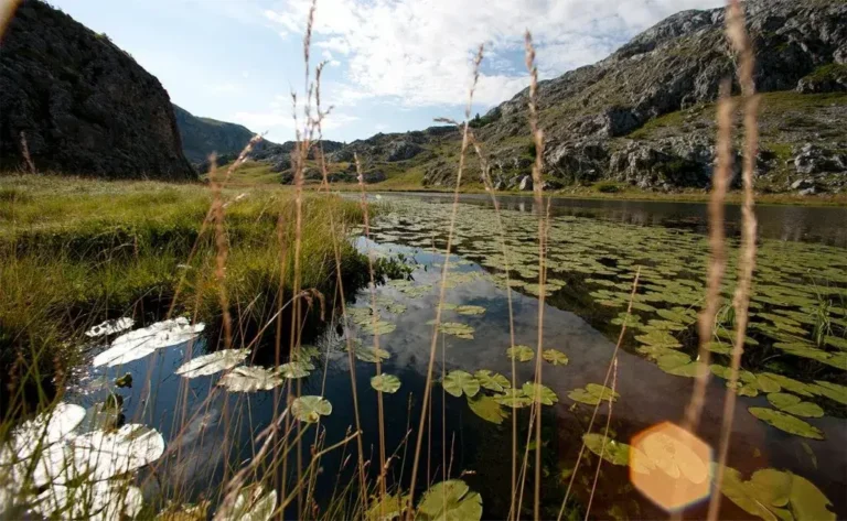 NP „Sutjeska“: Kako su povlašteni nezakonito trošili novac nauštrb plata radnika