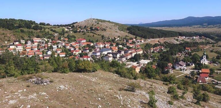 Opšti javašluk u ŠG „Zelengora“ Kalinovik