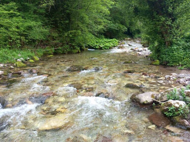 Građani Foče odbranili Bjelavu: Ministarstvo odbilo zahtjev za izgradnju male hidroelektrane