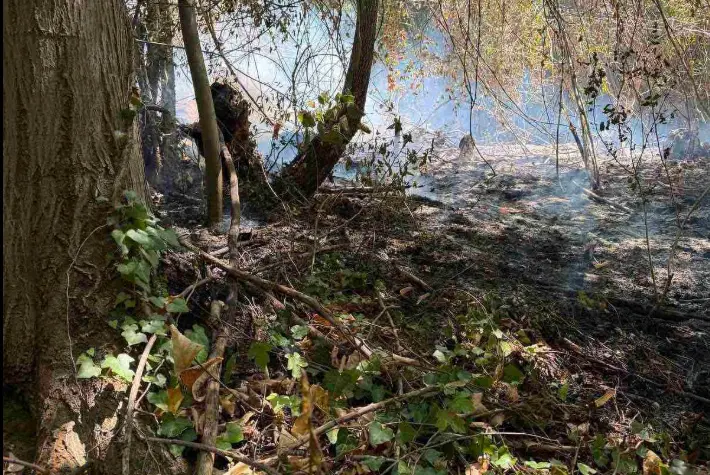 Vatrogasci u Banjaluci juče intervenisali devet puta, više intervencija zbog požara
