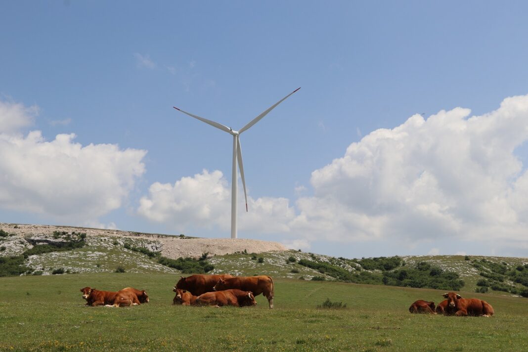 Podnesene dvije tužbe zbog vjetroelektrana u Glamoču